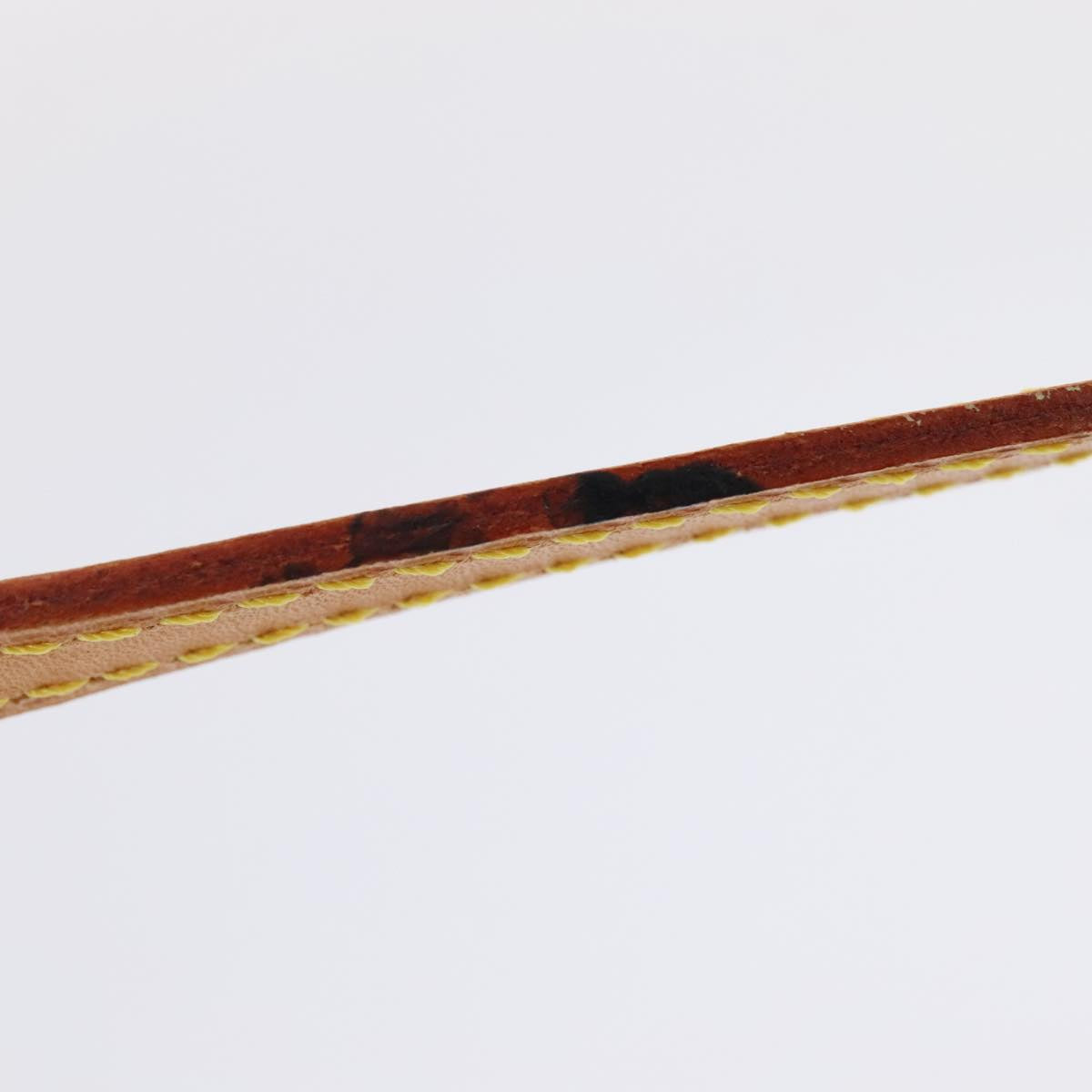 Louis Vuitton Shoulder strap