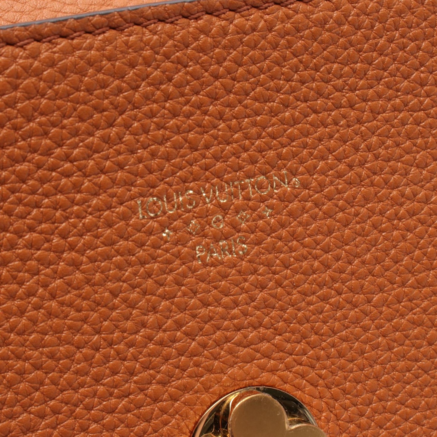 Louis Vuitton LV PONT 9 Calfskin Shoulder Bag