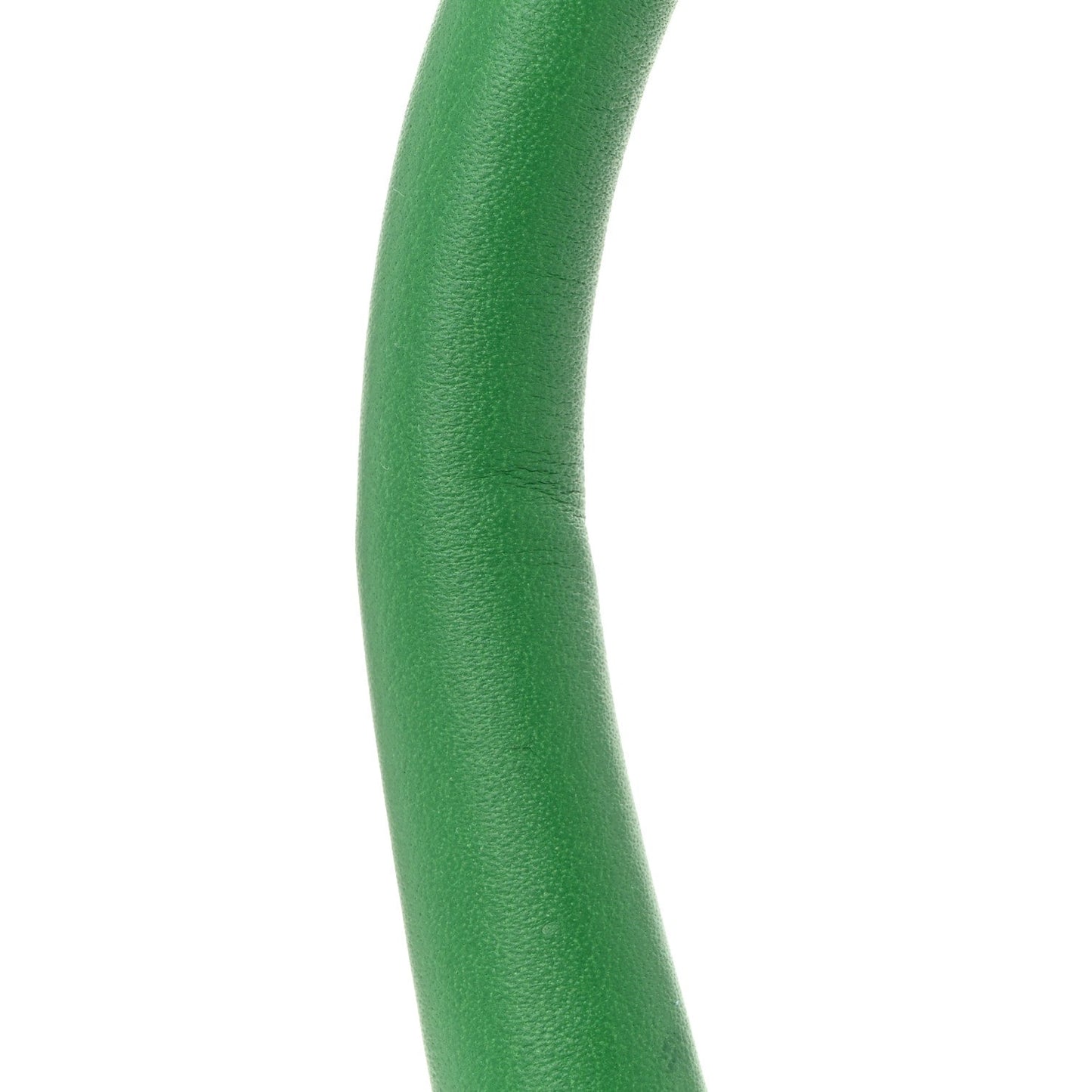 Smooth Calfskin Le Chiquito Moyen Green