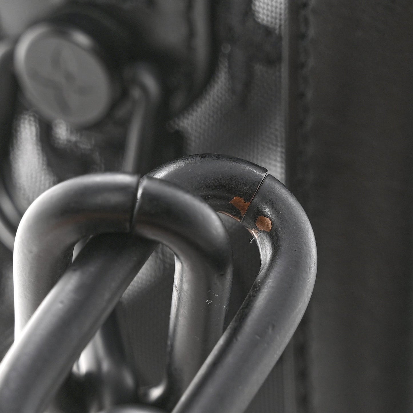 Monogram See Through Soft Trunk Black