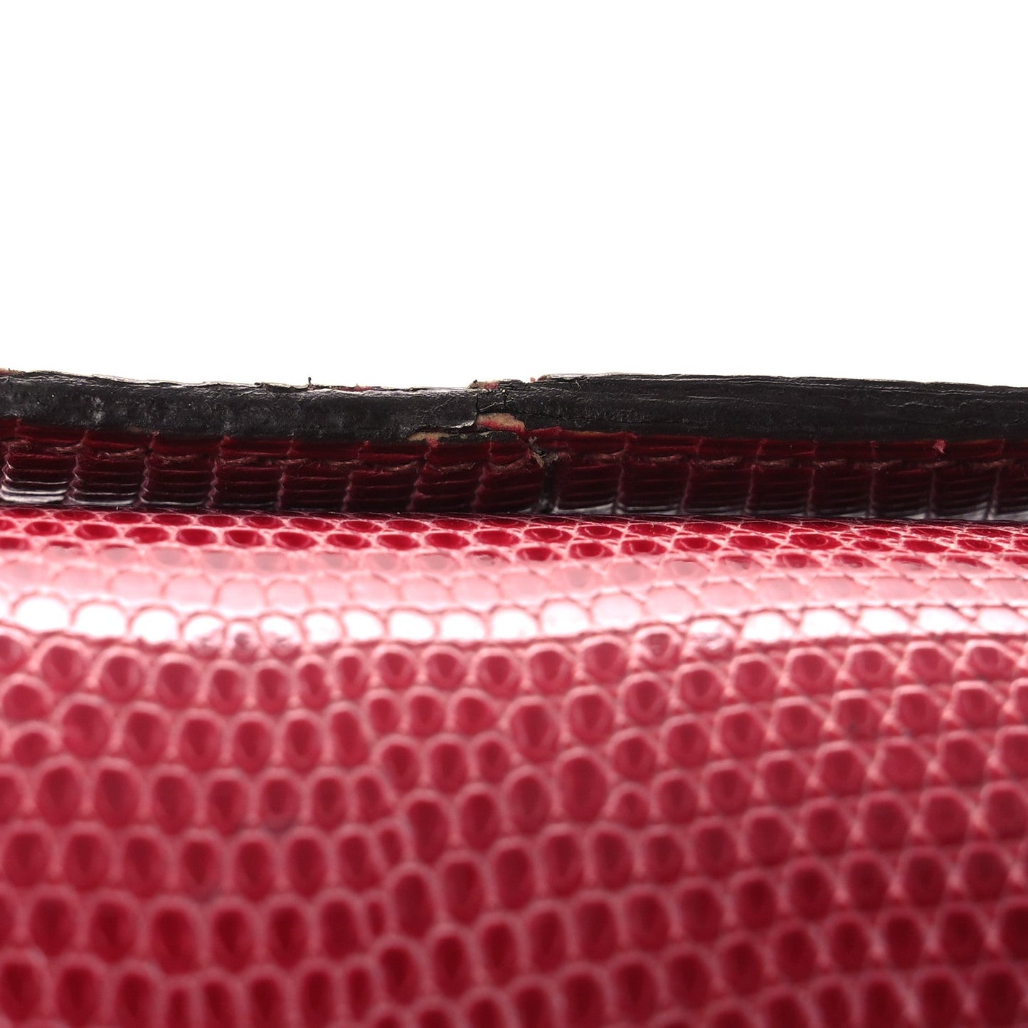 Lizard Constance 18 Fuchsia