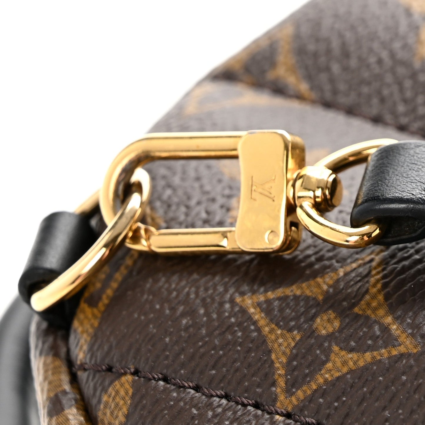 Monogram Palm Springs Backpack Mini