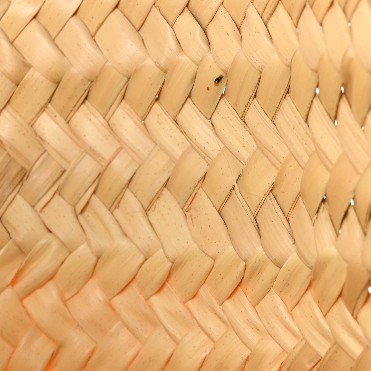 Raffia Basket Tote Bag Natural Tan