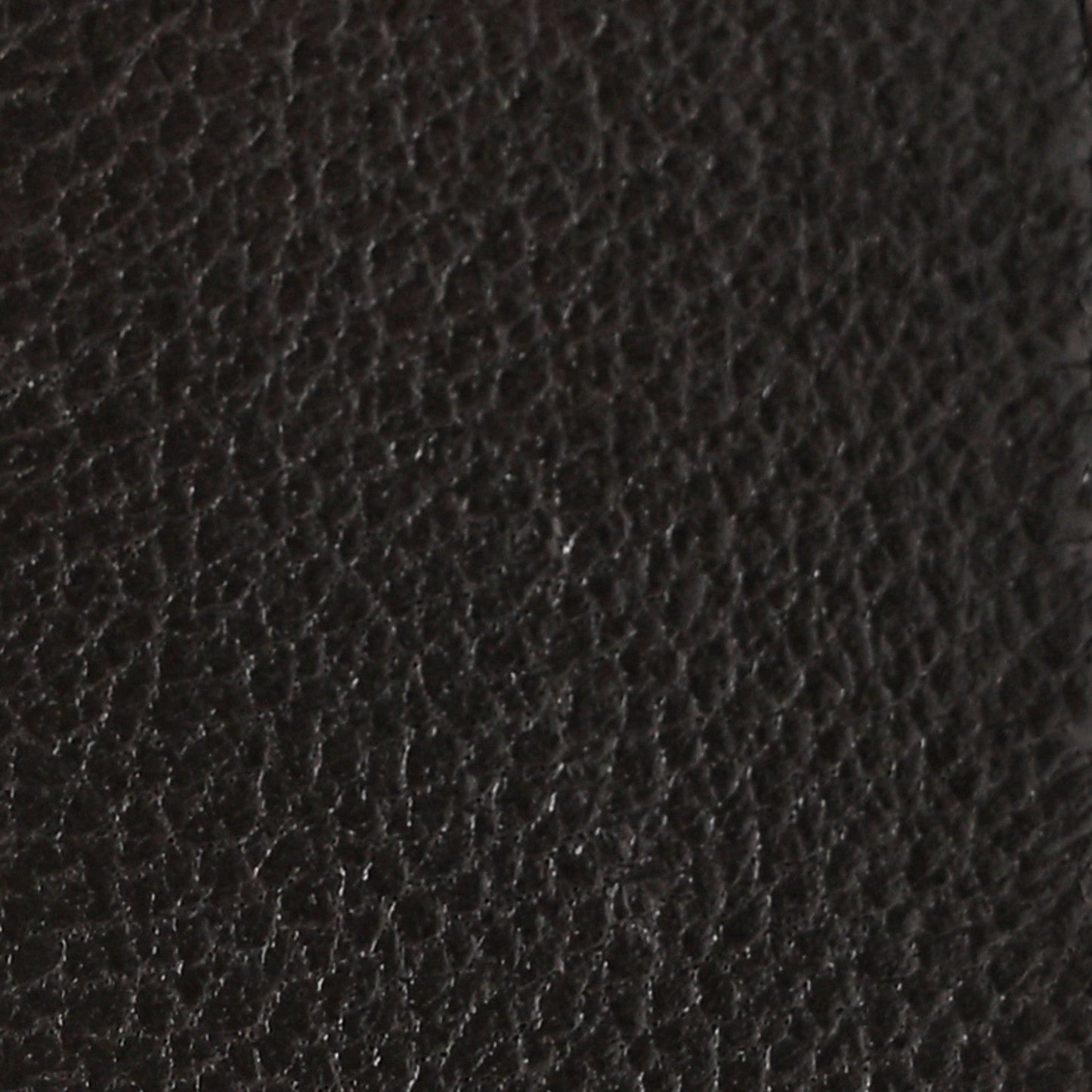 Lambskin Quilted Medium Chanel 19 Flap Dark Brown