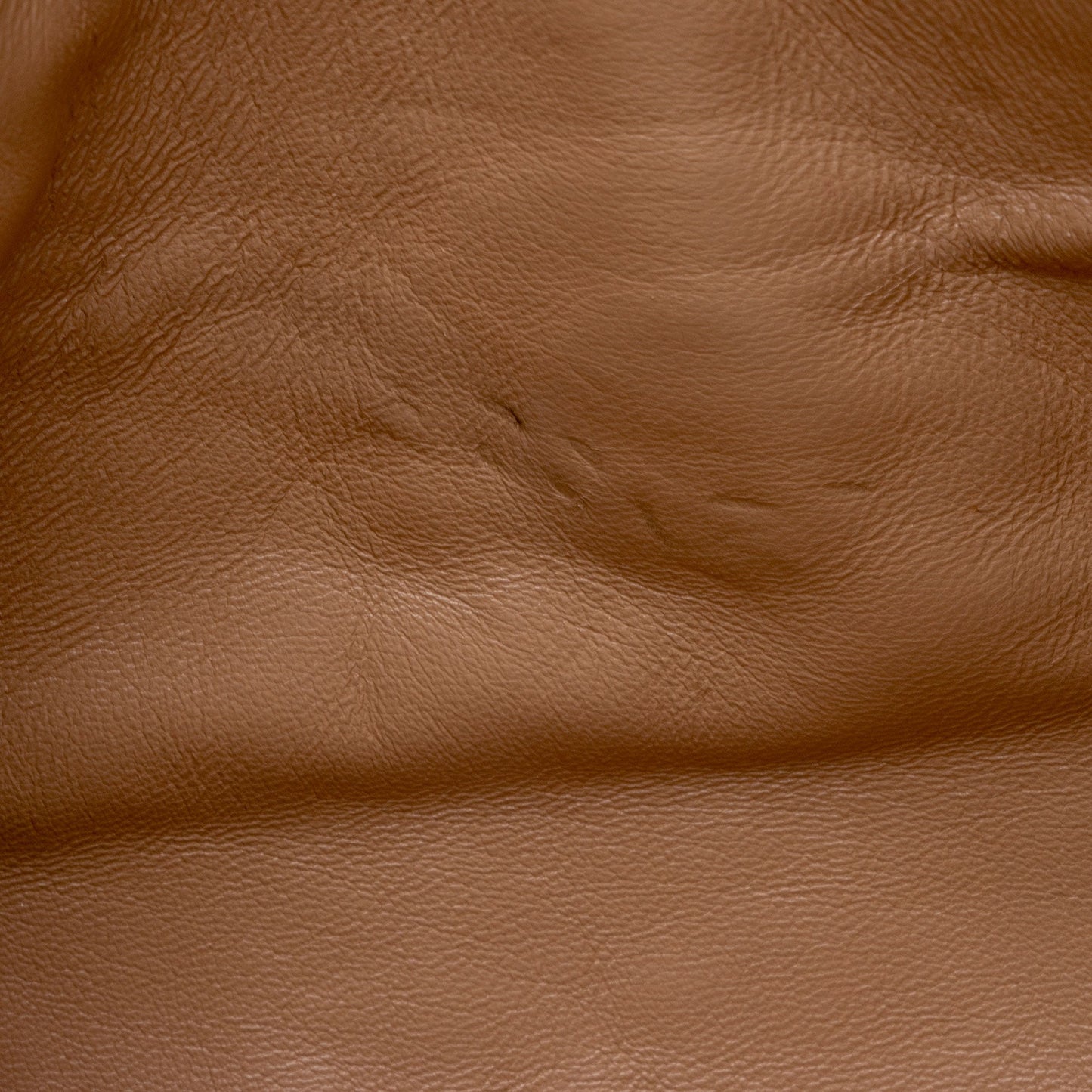 Gucci Calfskin Tiger Broadway Mini Shoulder Bag