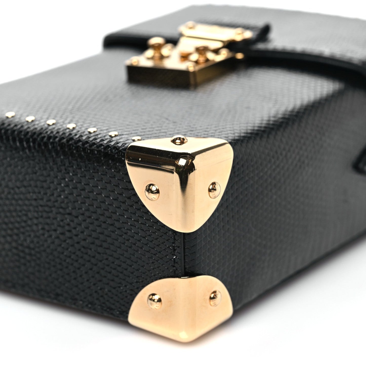 Lizard Camera Box Black