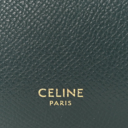 Grained Calfskin Micro Belt Bag Amazone