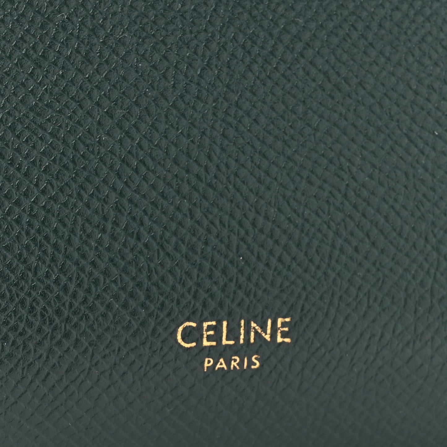 Grained Calfskin Nano Belt Bag Amazone