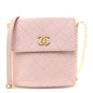 Calfskin Quilted Pearl Small About Pearls Hobo Bag Light Pink