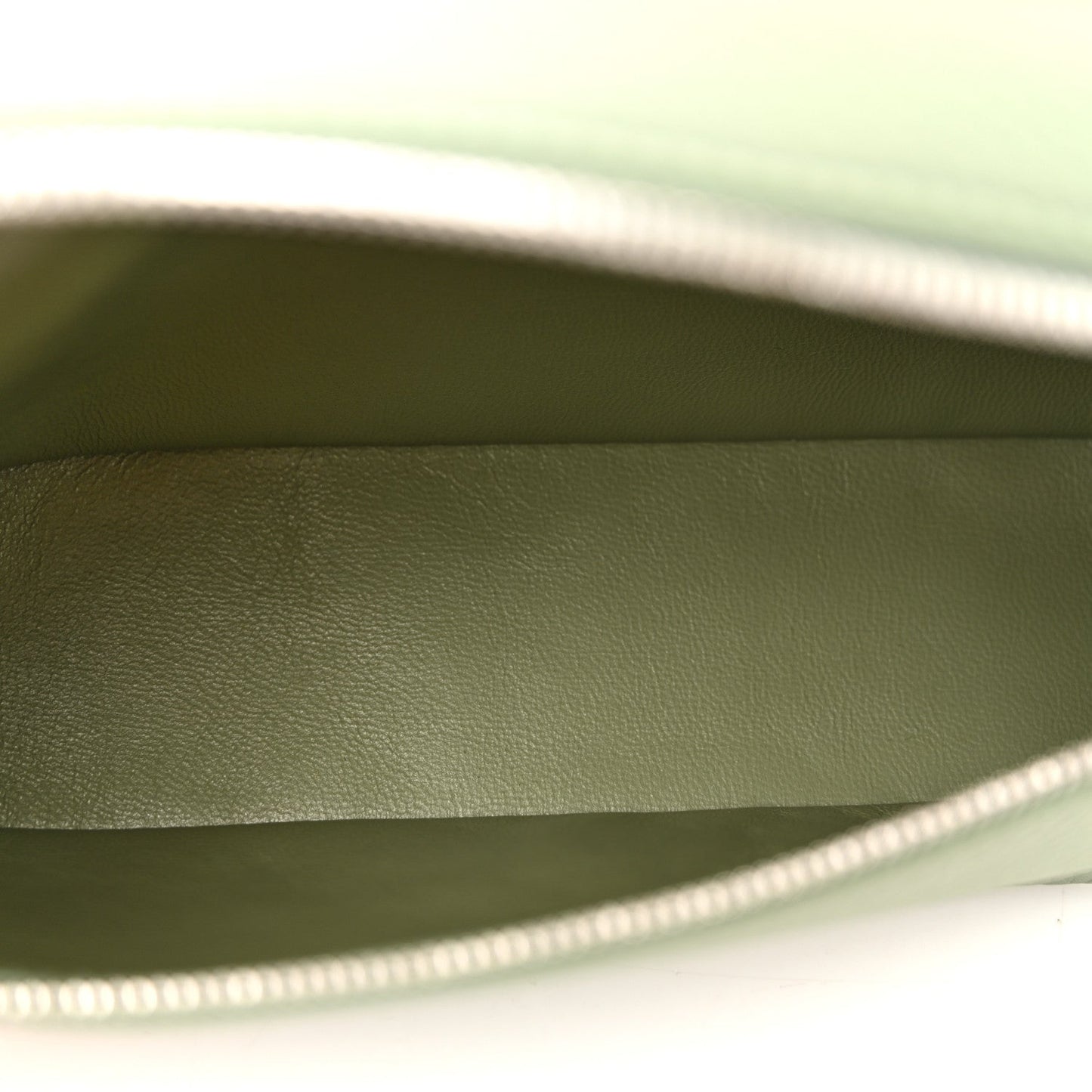 Grained Calfskin L19 Extra Pocket Pouch Sage Brush Leaves