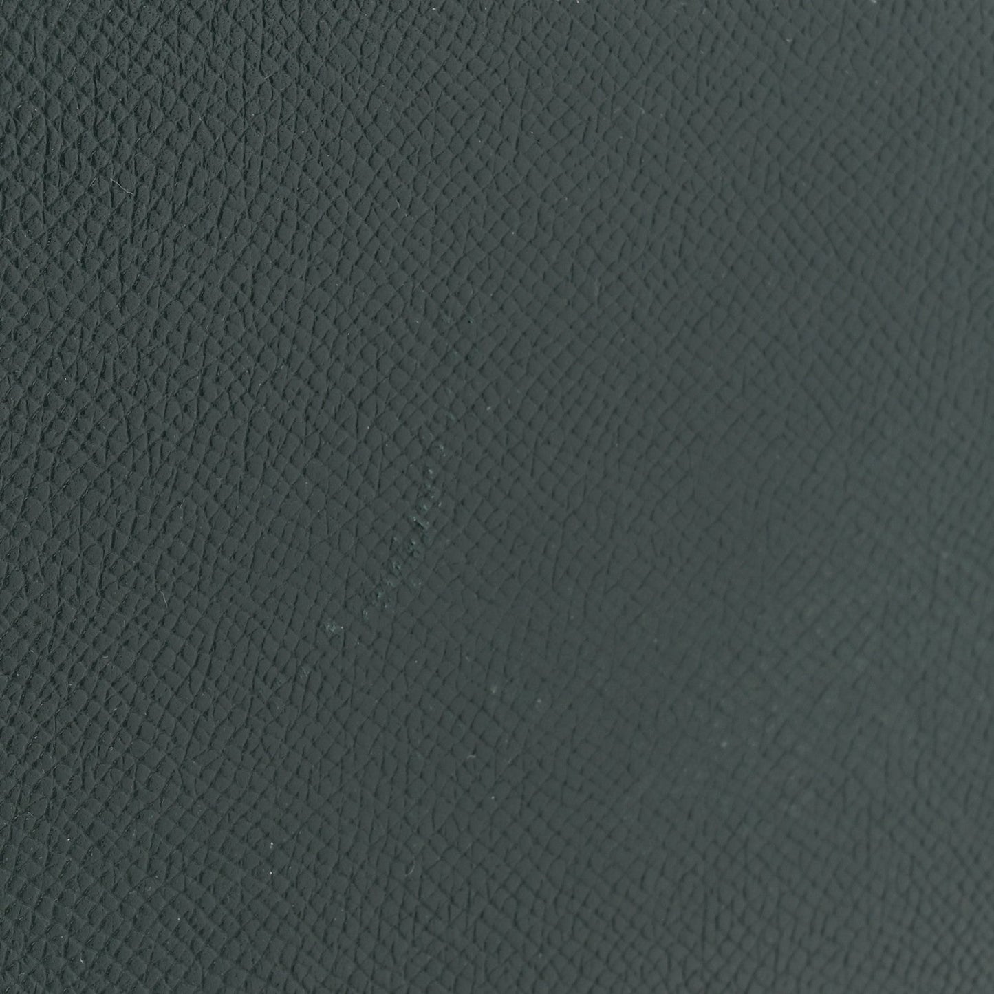 Grained Calfskin Nano Belt Bag Amazone
