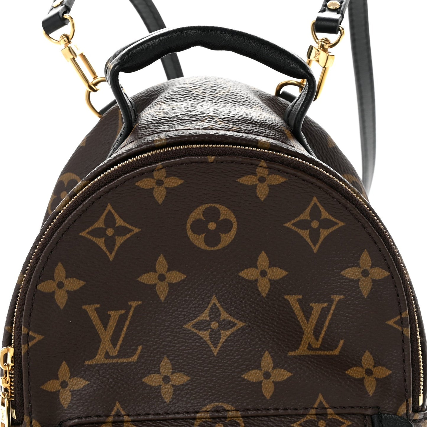 Monogram Palm Springs Backpack Mini