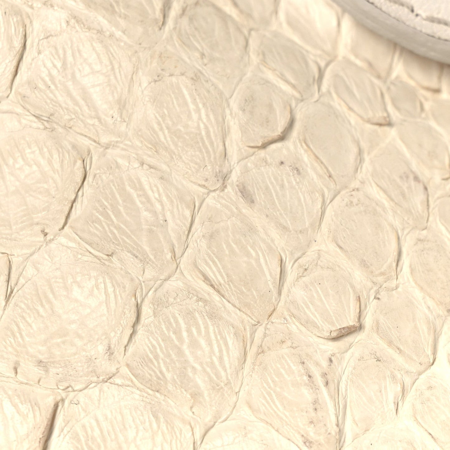 Snakeskin Silverado Mini Bag Ivory