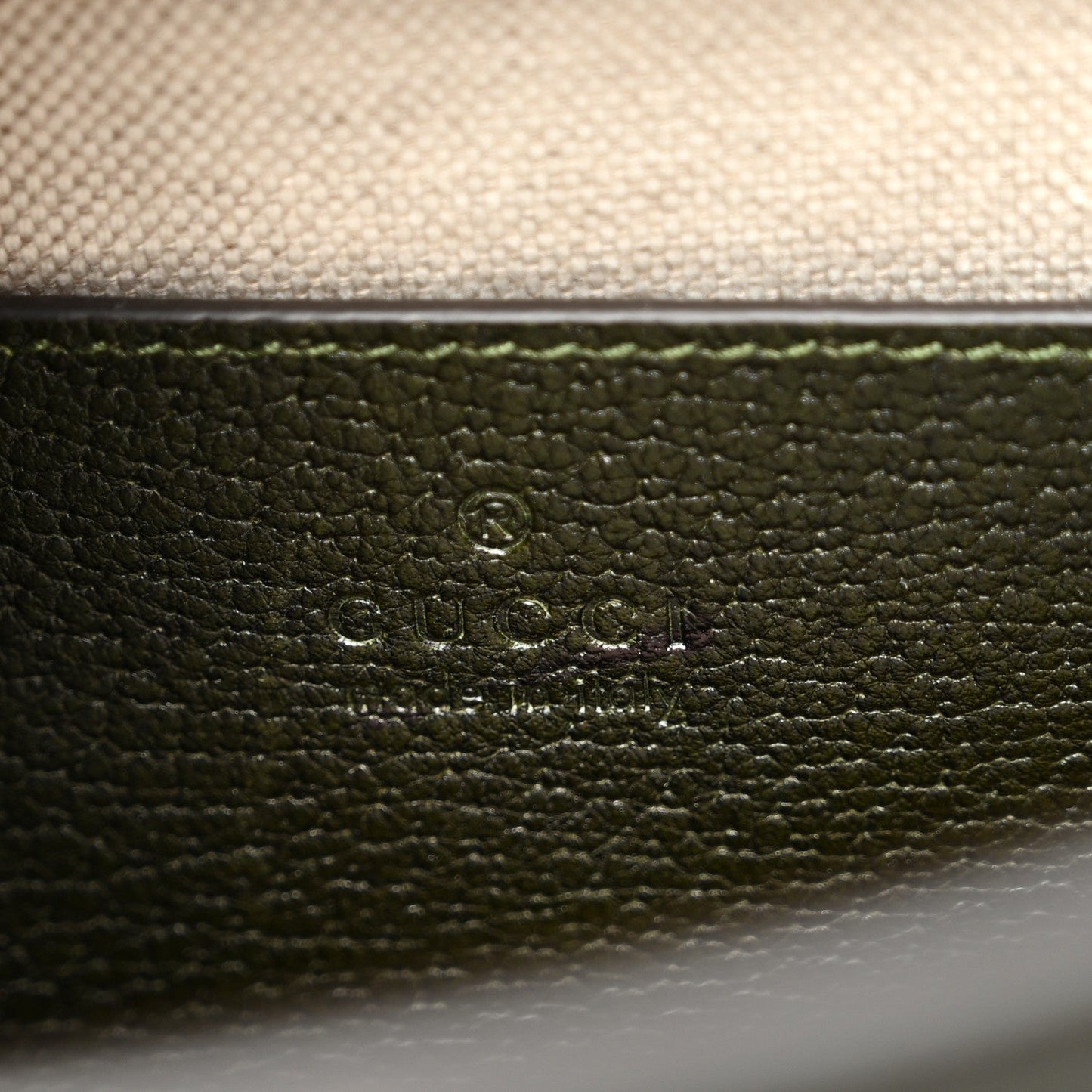 Textured Dollar Calfskin Web Small Diana Tote Bag Green Ombre