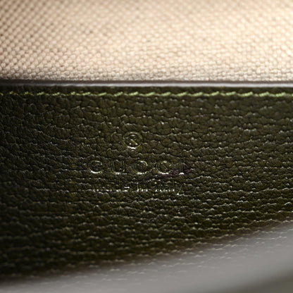Textured Dollar Calfskin Web Small Diana Tote Bag Green Ombre