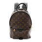 Monogram Palm Springs Backpack PM