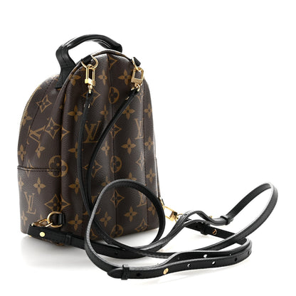 Monogram Palm Springs Backpack Mini