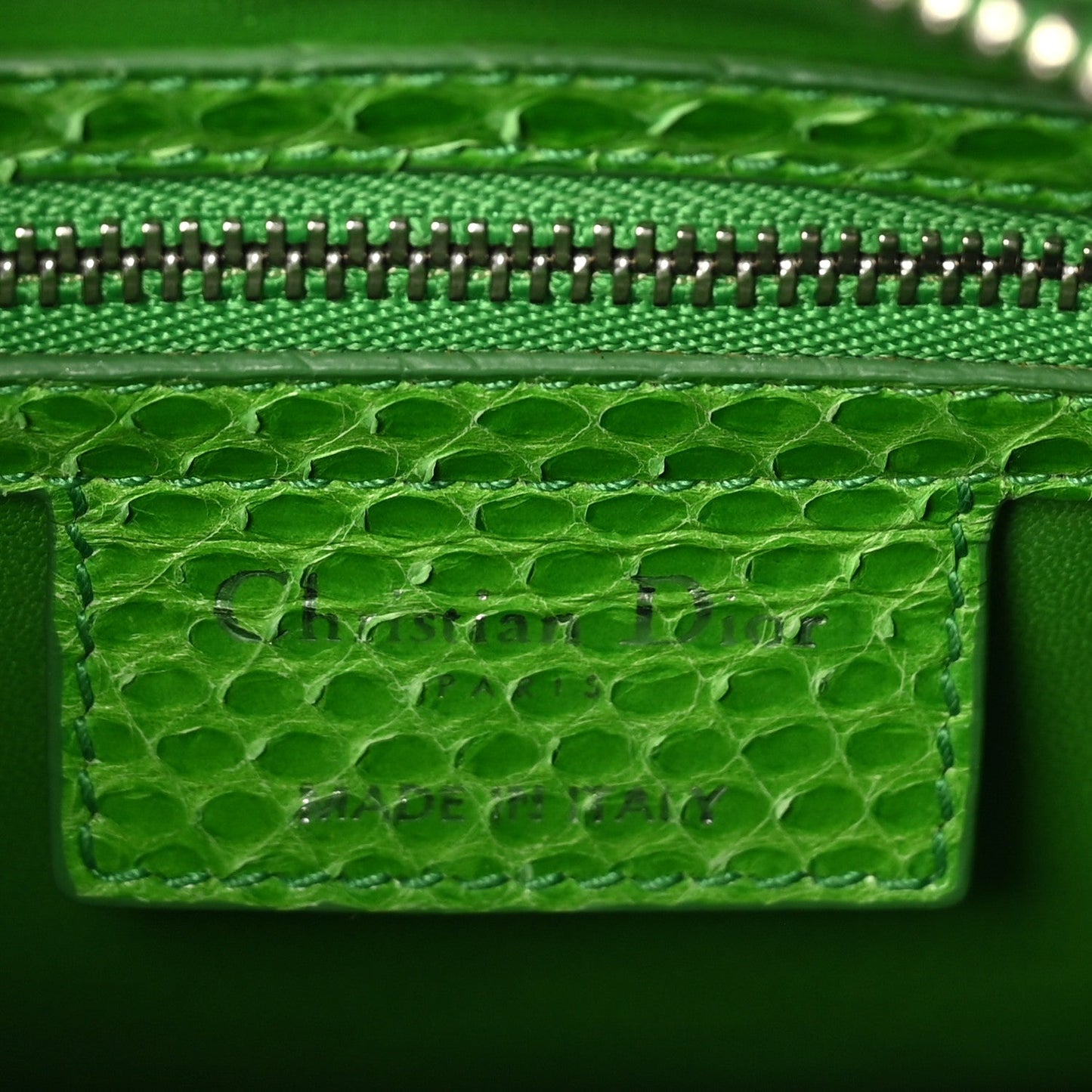 Snakeskin Medium Lady Dior Green