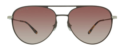 Lacoste Brown Aviator L243SE 210 Sunglasses