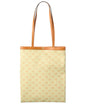 Celine Triomphe Medium Canvas & Leather Tote