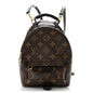 Monogram Palm Springs Backpack Mini