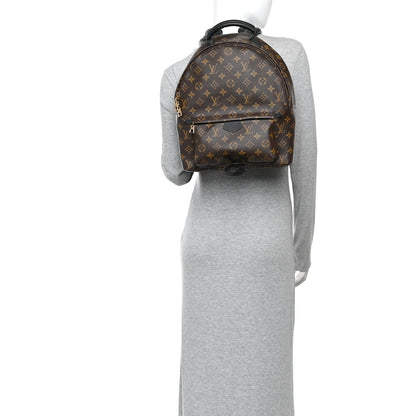 Monogram Palm Springs Backpack MM