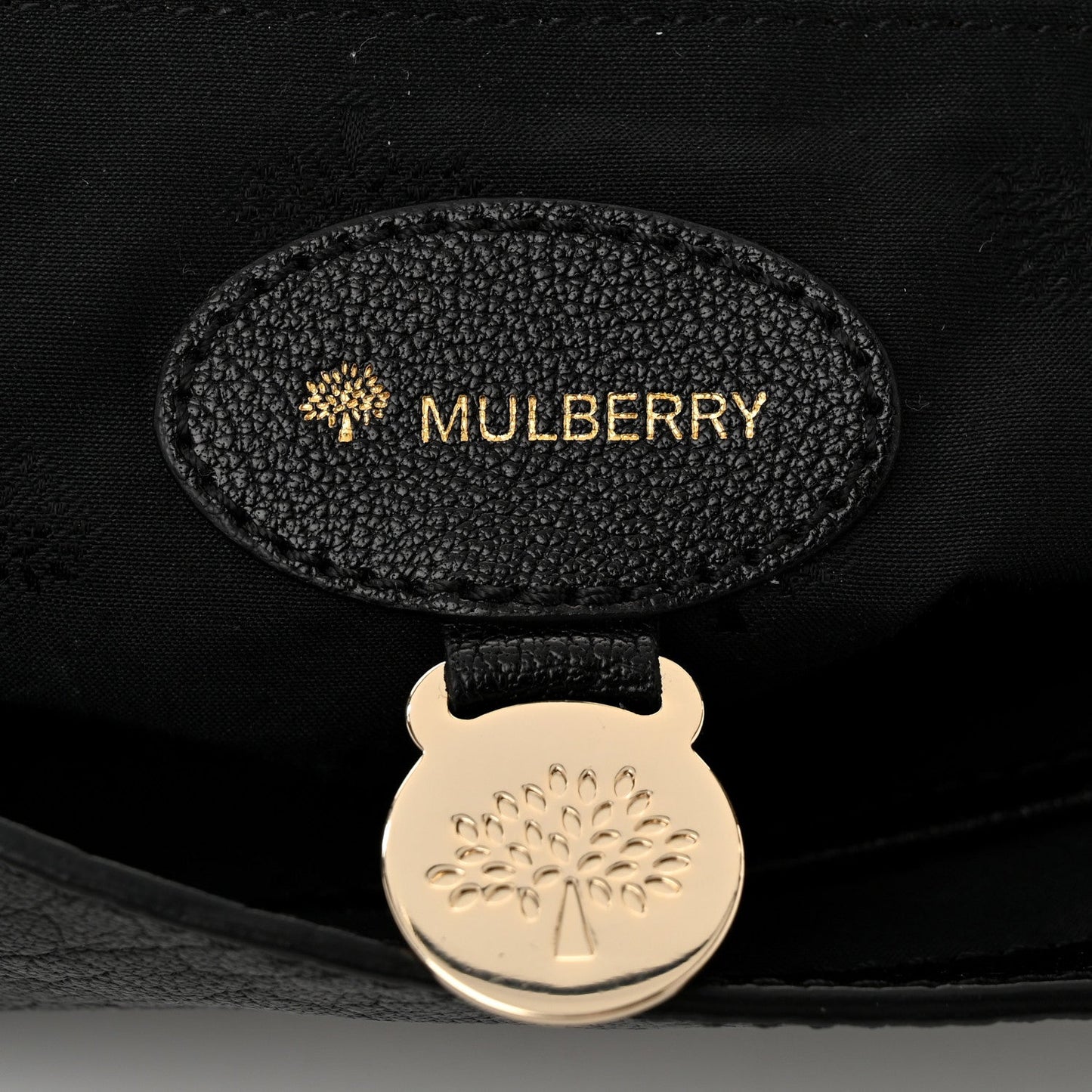 Shiny Buffalo Lily Black