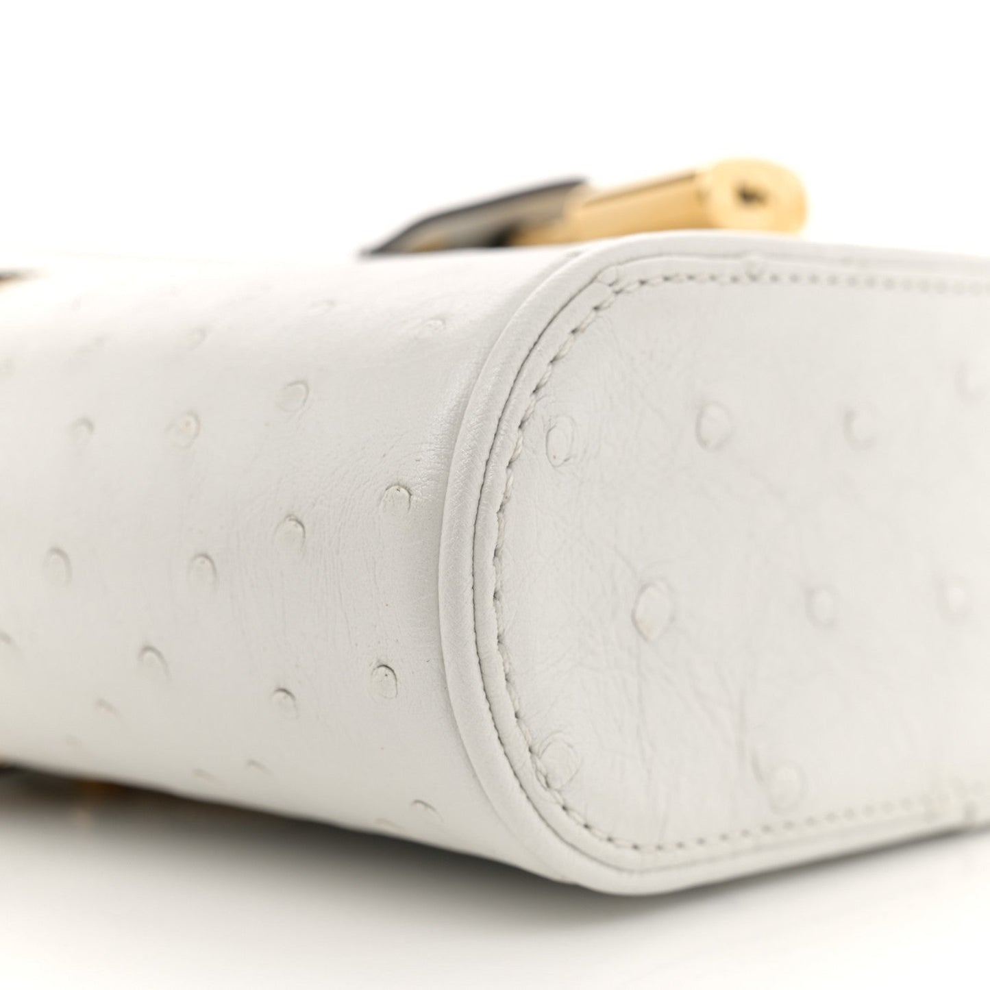 Ostrich Vanity Chain Pouch