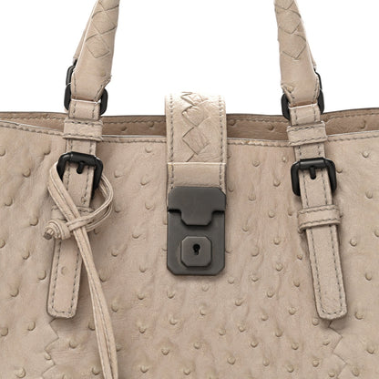 Ostrich Small Roma Tote Limestone