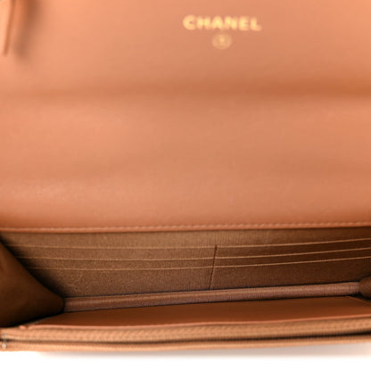 Lambskin Quilted Chanel 19 Wallet On Chain WOC Brown