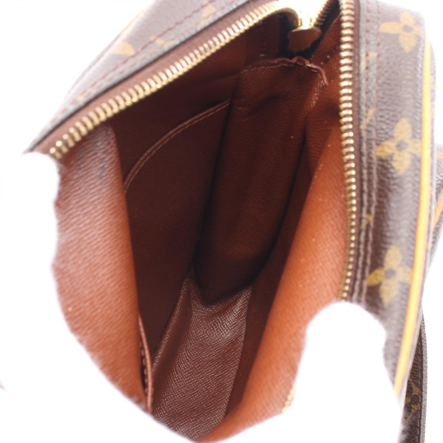Louis Vuitton Amazon Monogram Coated Canvas Shoulder Bag