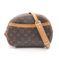 Louis Vuitton Blois Monogram Shoulder Bag