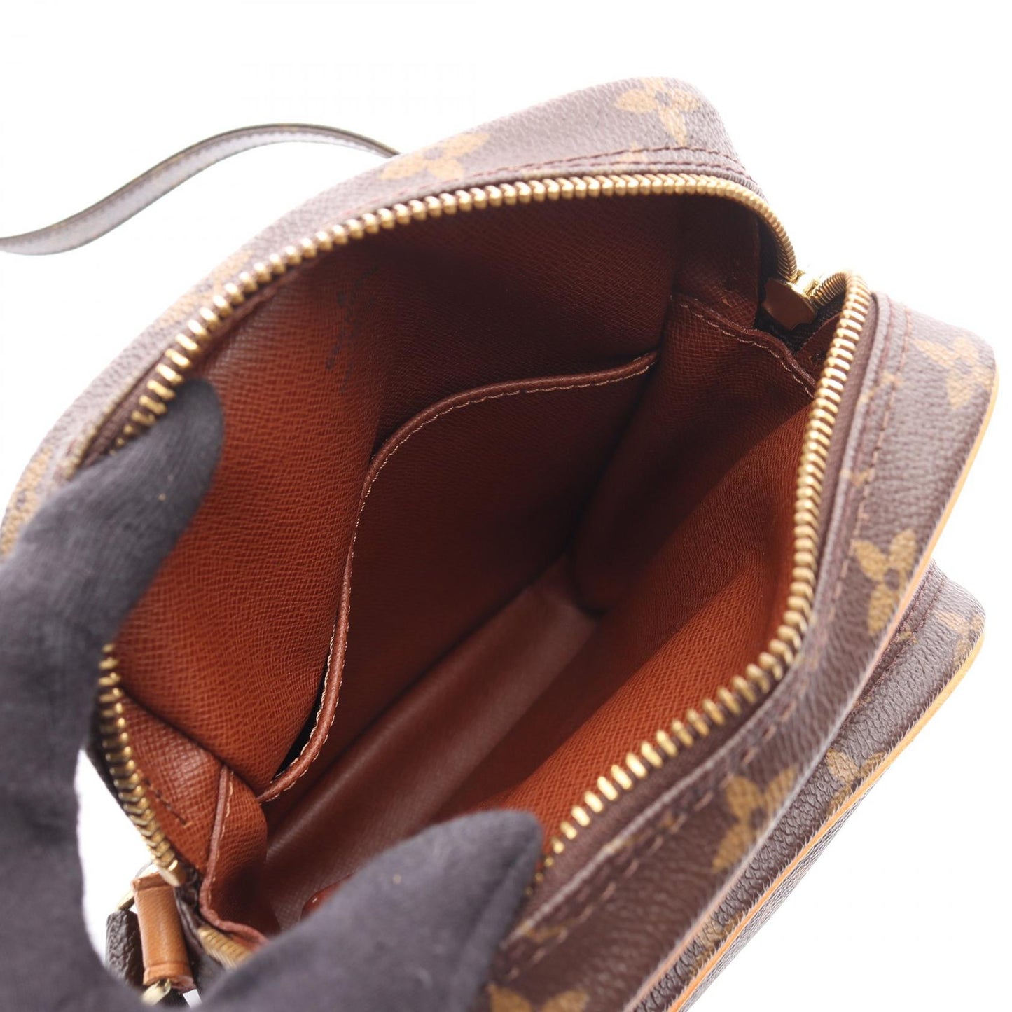 Louis Vuitton Amazon Monogram Shoulder Bag
