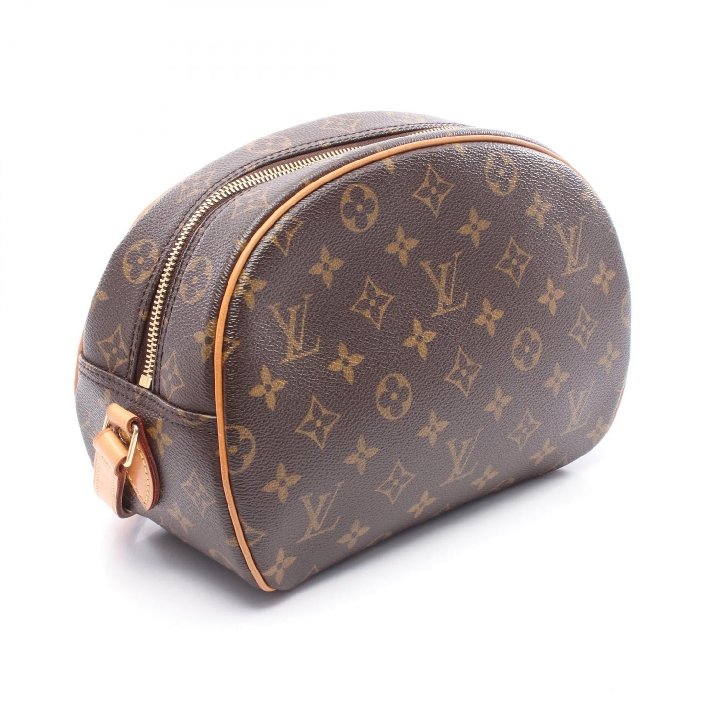 Louis Vuitton Blois Monogram Shoulder Bag