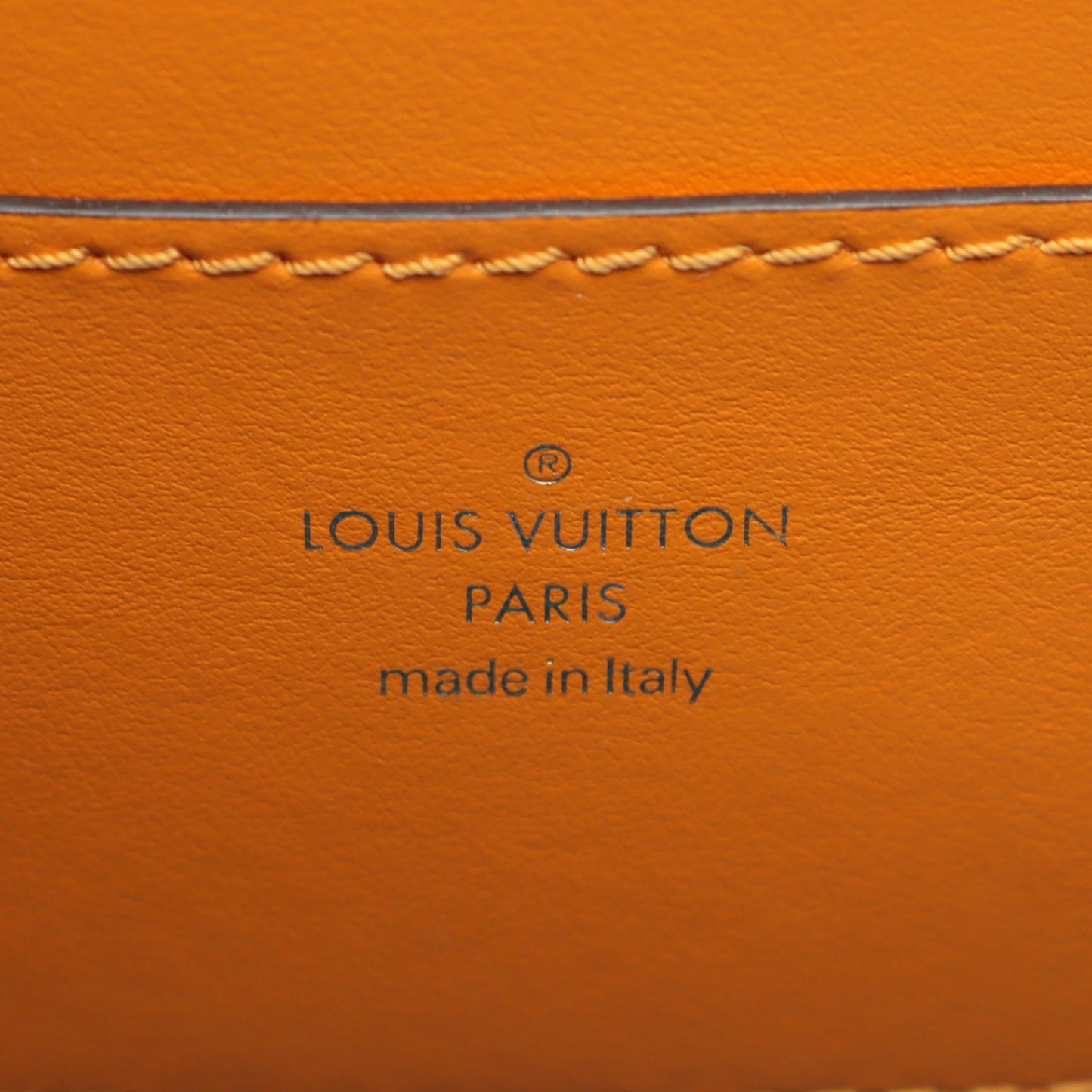 Louis Vuitton LV PONT 9 Leather Shoulder Bag