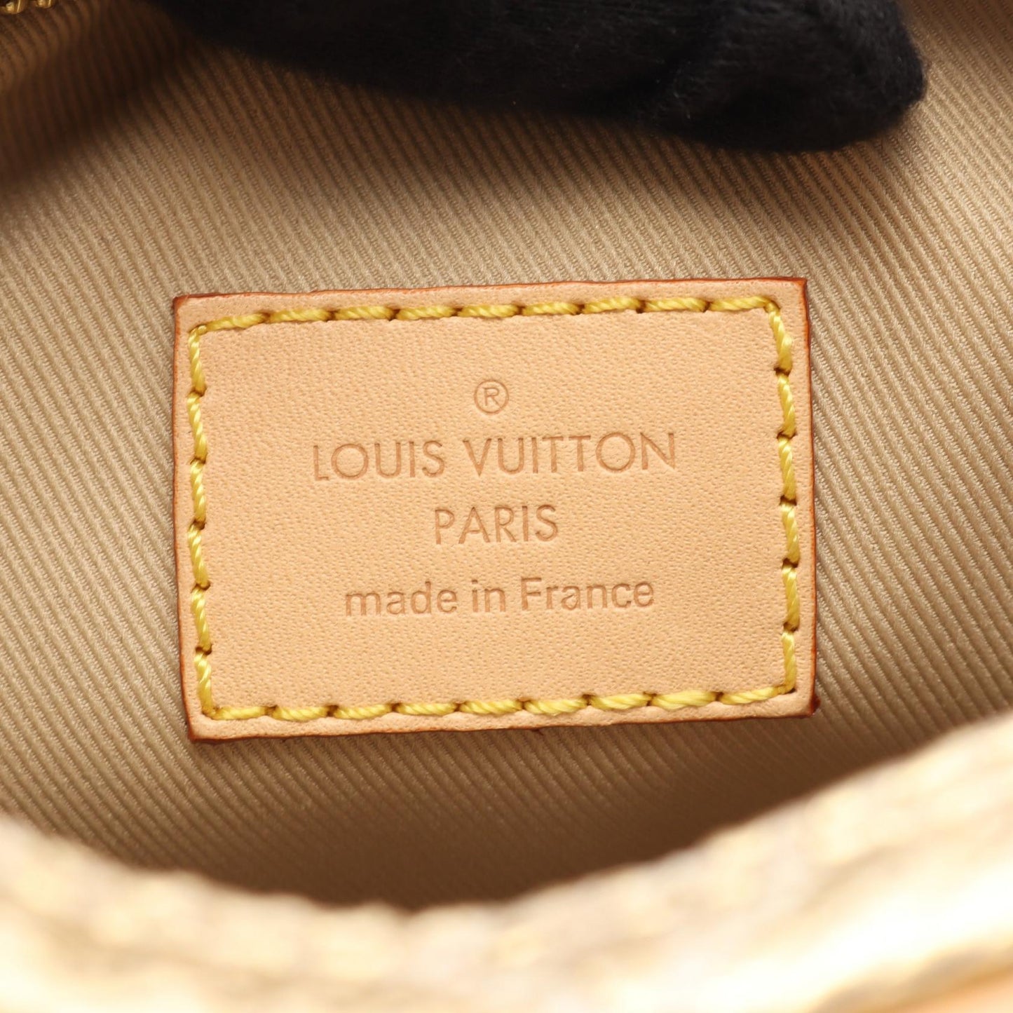 Louis Vuitton Loop Monogram Shoulder Bag