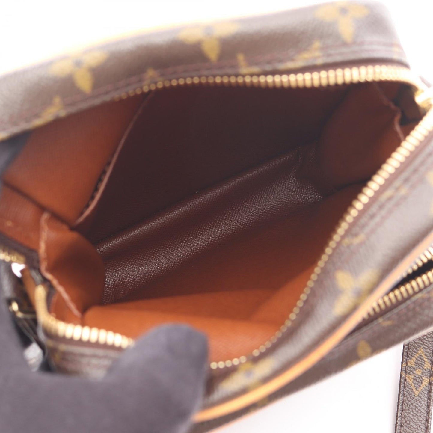 Louis Vuitton Amazon Monogram Shoulder Bag