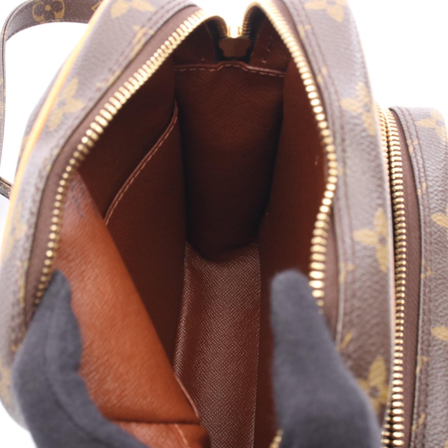 Louis Vuitton Amazon Monogram Shoulder Bag