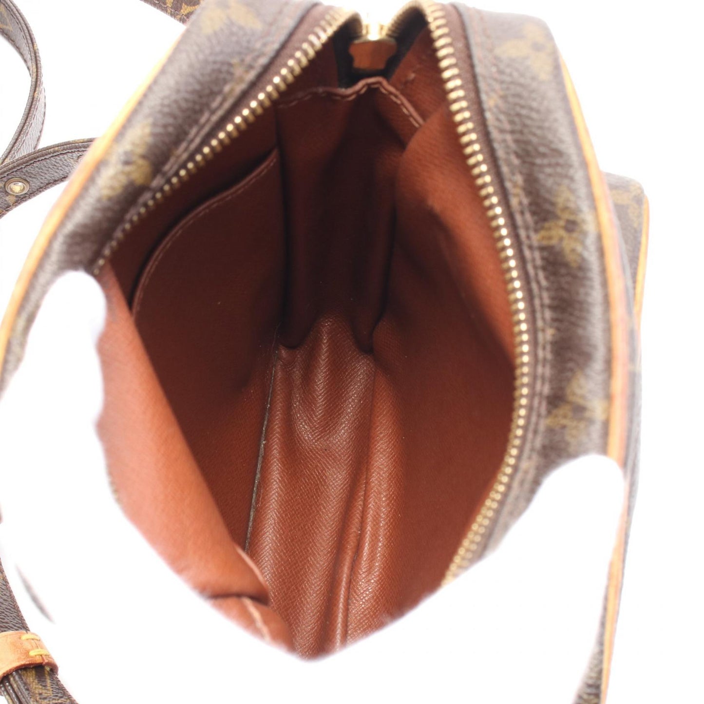 Louis Vuitton Amazon Monogram Shoulder Bag