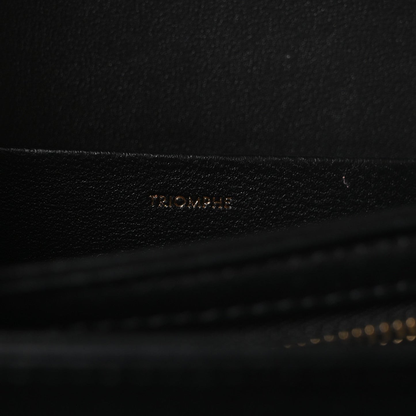 Shiny Calfskin Medium Triomphe Black