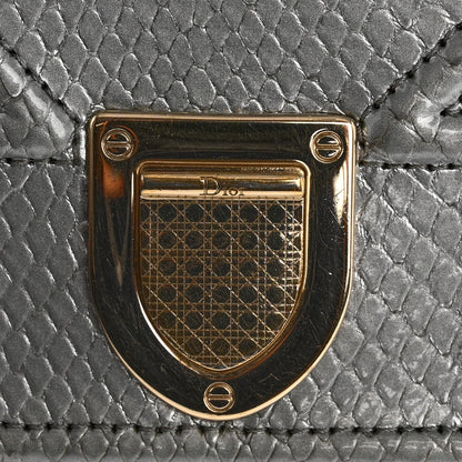 Snakeskin Diorama Wallet on Chain Pouch Silver