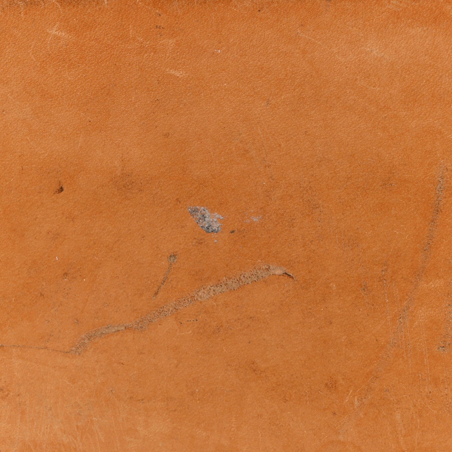 Monogram Cabas Piano