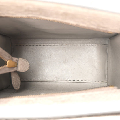 Snakeskin Nano Luggage Grey