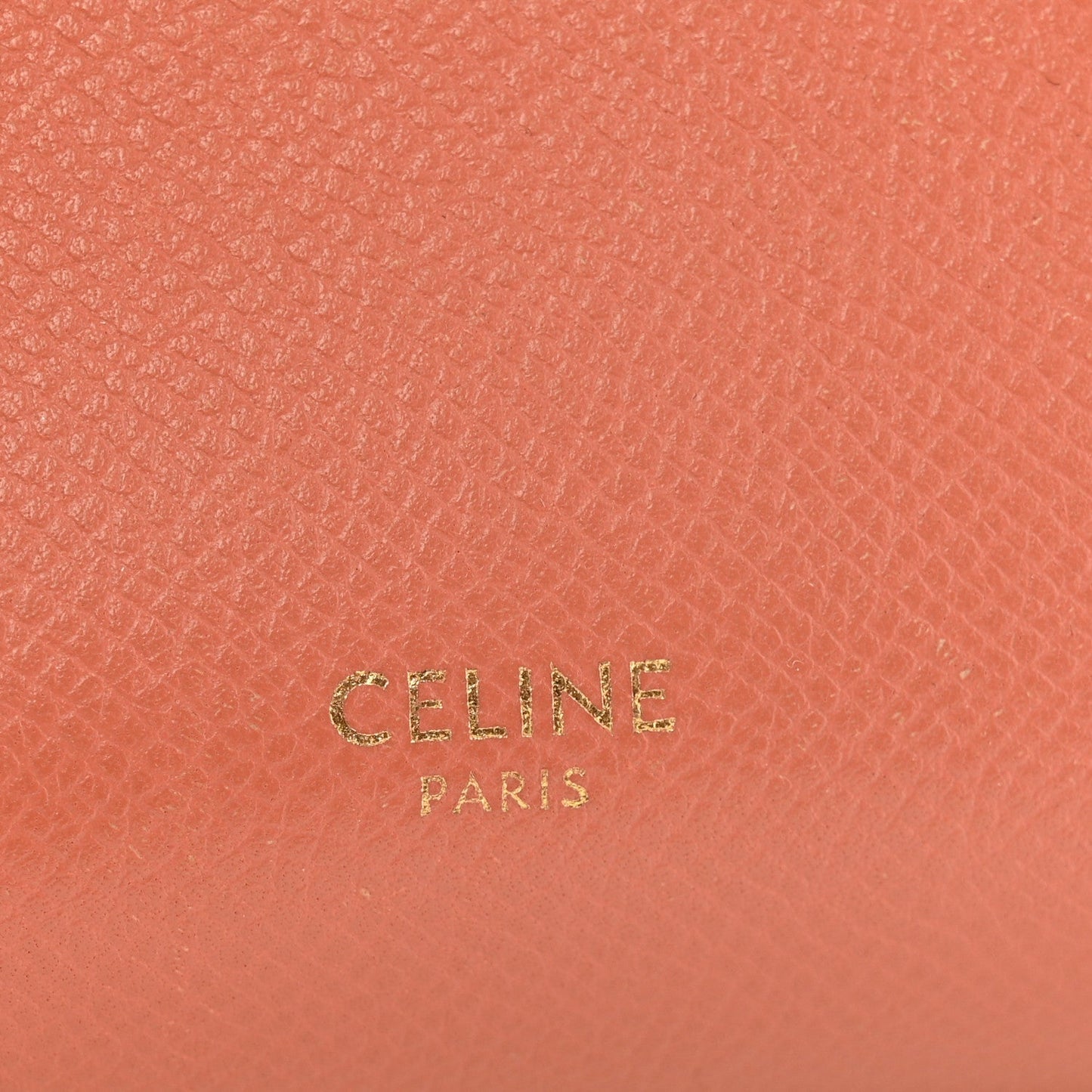 Grained Calfskin Pico Belt Bag Lychee