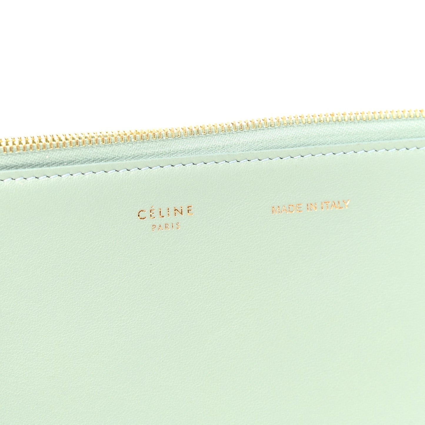 Plastic Bag with Cloudy Lambskin Solo Zip Pouch Clutch Celadon