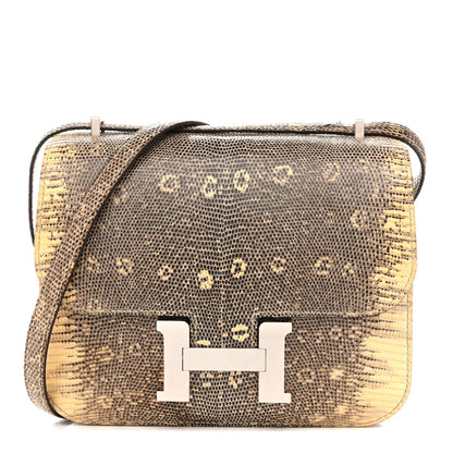 Lizard Constance 18 Ombre