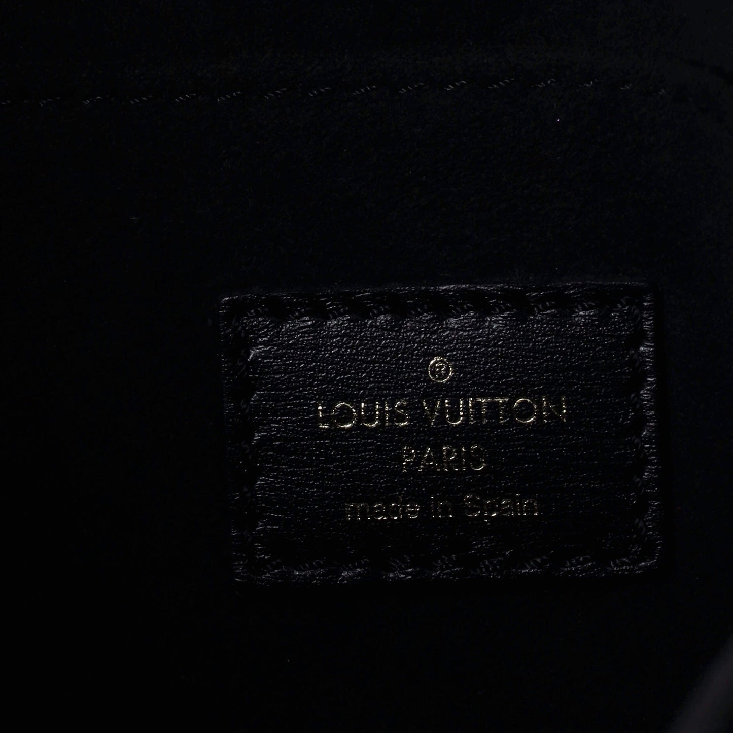 Louis Vuitton Dauphine Shoulder Bag Limited Edition Since 1854 Monogram Jacquard MM