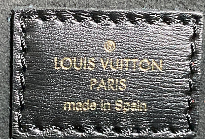 Louis Vuitton Dauphine Shoulder Bag Limited Edition Since 1854 Monogram Jacquard MM