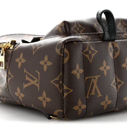 Monogram Palm Springs Backpack Mini