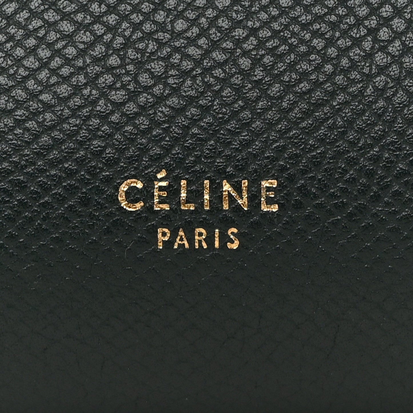 Grained Calfskin Micro Belt Bag Amazone
